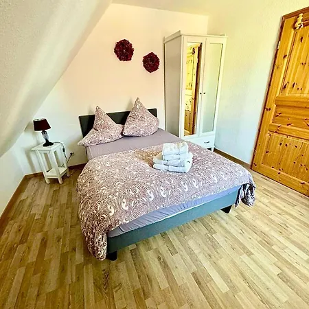 Das Blaue Haus Zz-braunlage 公寓 *